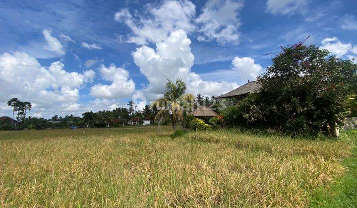 Prime Freehold Land In Central Ubud Adjacent To Satori Villas 1