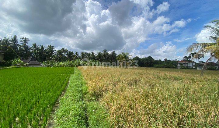 Prime Freehold Land In Central Ubud Adjacent To Satori Villas 2