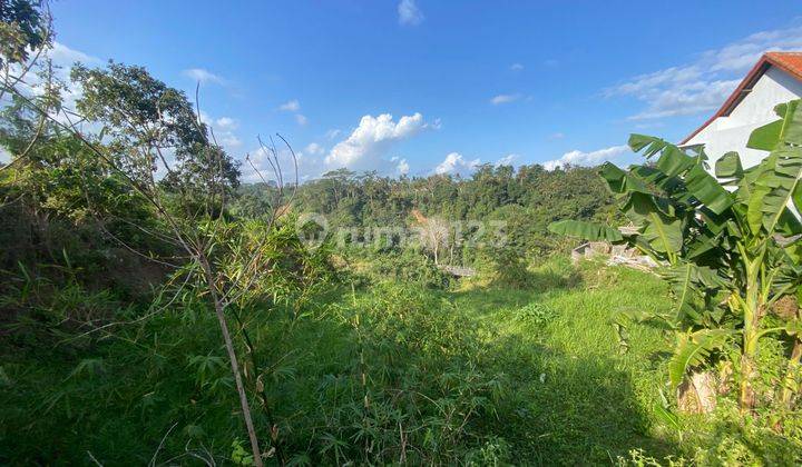 Land For Sale With Cliff Front And River View Kemenuh 1