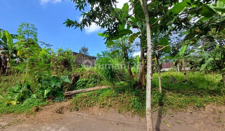 prime land in the good shape at Exclusive area of Pejeng, Ubud. 2