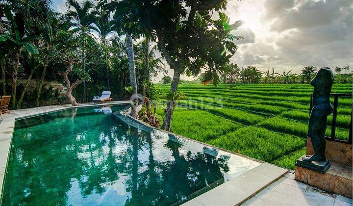 Luxurious Villa With Stunning Rice Field Views Near Brawa Beach 1