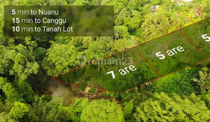 Exclusive Land For Lease Near Nuanu Only 10 Minutes To The Beach 1