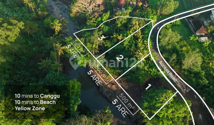 Prime Riverfront Jungle Land for Leasehold in Kaba Kaba | Yellow Zone | Ready to Build Prime Riverfront Jungle Land for Leasehold in Kaba Kaba | Yellow Zone | Ready to Build