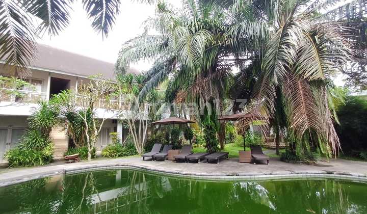 Premium Investment Opportunity: Mini Hotel in Ubud, Bali