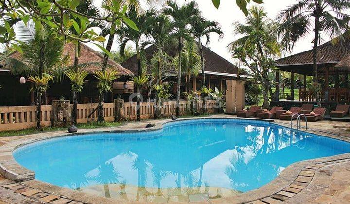 Traditional Balinese Hotel For Sale In Ubud Prime Location 2