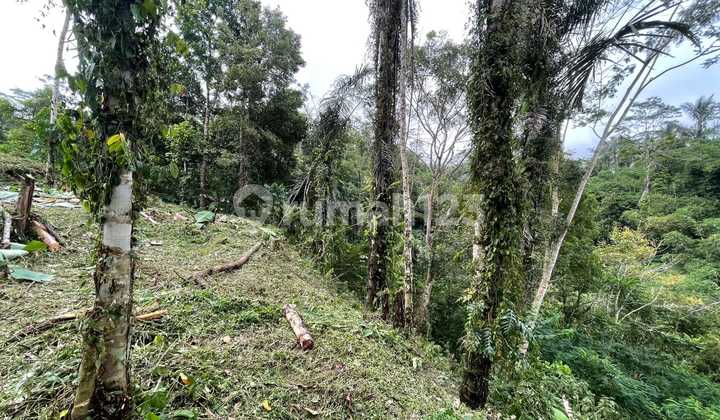 Land for Sale - Desa Timbul, Near Aranata Resort, Tampaksiring, Gianyar, Bali Land for Sale - Desa Timbul, Near Aranata Resort, Tampaksiring, Gianyar, Bali
