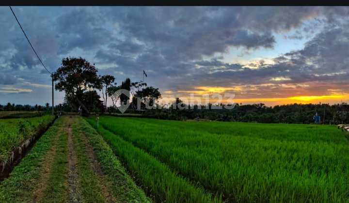 Land for Sale - Meliling, Tabanan, Bali with Rice Field & Jungle Views | Close to Kelating Beach