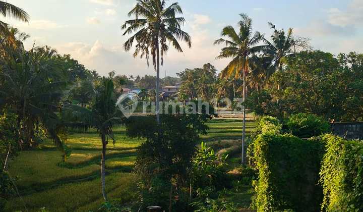 Prime Main Road Commercial Land, Lod Tunduh