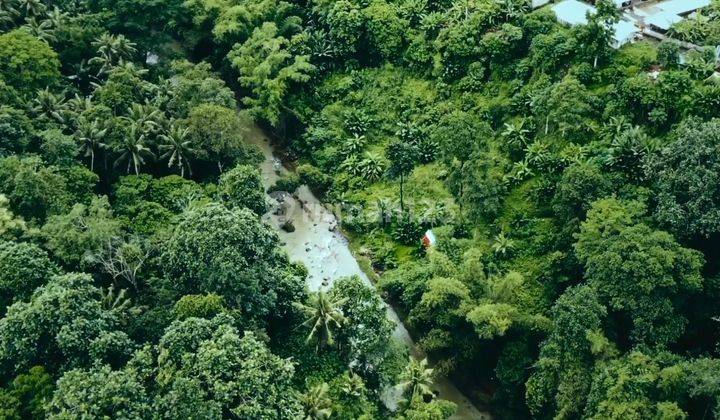 Lush Jungle Land for Lease – Prime Location Near Nuanu, Tabanan 2