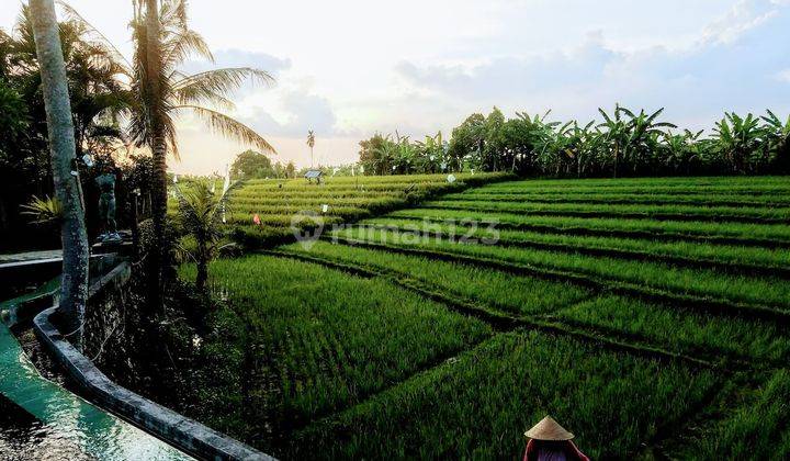 Luxurious Villa With Stunning Rice Field Views Near Brawa Beach 2