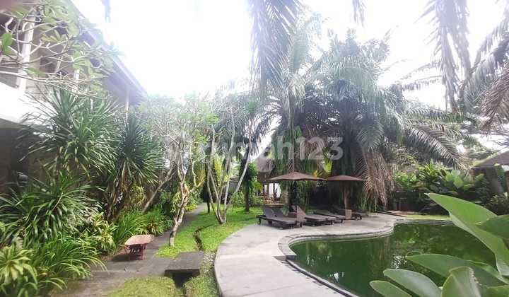 Premium Investment Opportunity: Mini Hotel in Ubud, Bali 2