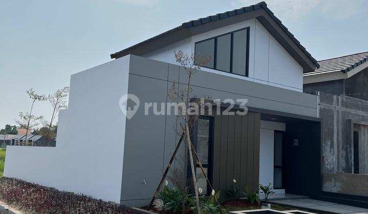 Viral House Takeover