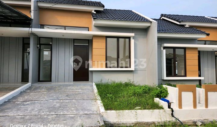 PMM SHM Takeover House PMM SHM Takeover House