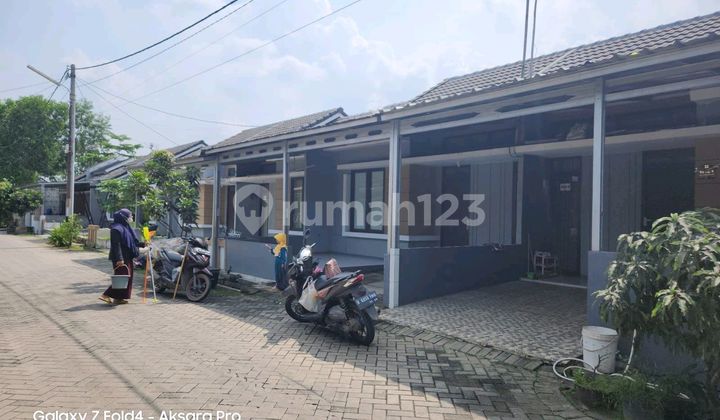 Take Over Murah Permata Mutiara Maja Cluster Ruby 1