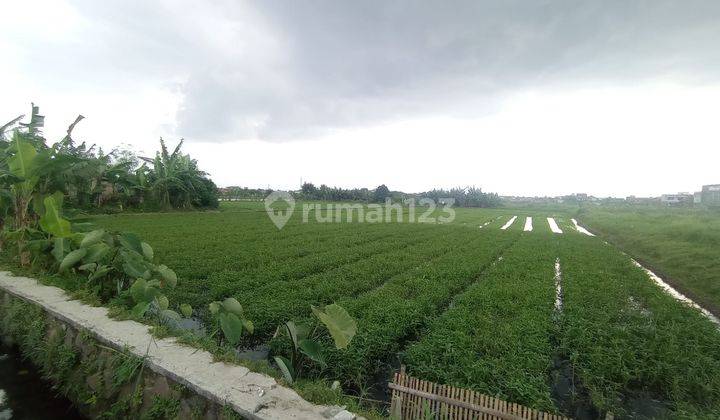 Tanah Murah SHM Sayap Cisirung Moh Toha Tci Bebas Banjir 1