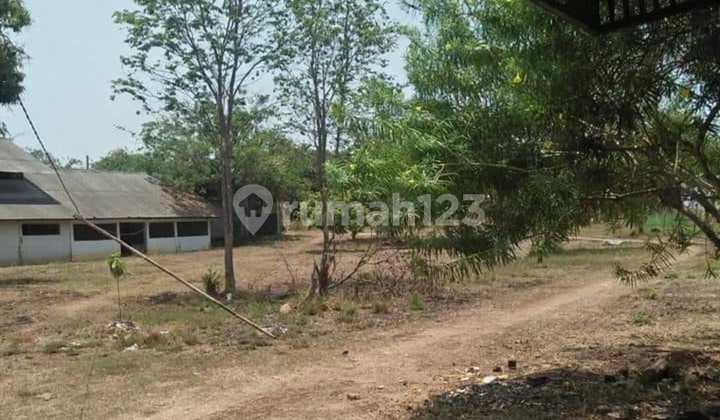 Tanah SHM Cikampek Dekat Gerbang Tol, Cocok Utk Perumahan