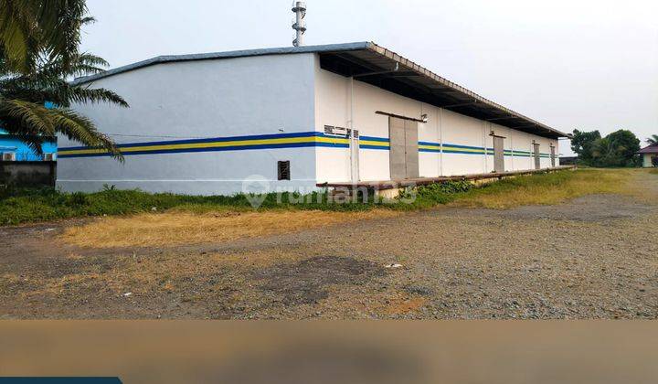 Gudang Siantan Siap Pakai Extra Luas 1