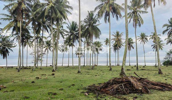 Lahan Komersial Siap Bangun Di Sepanjang Pantai 1