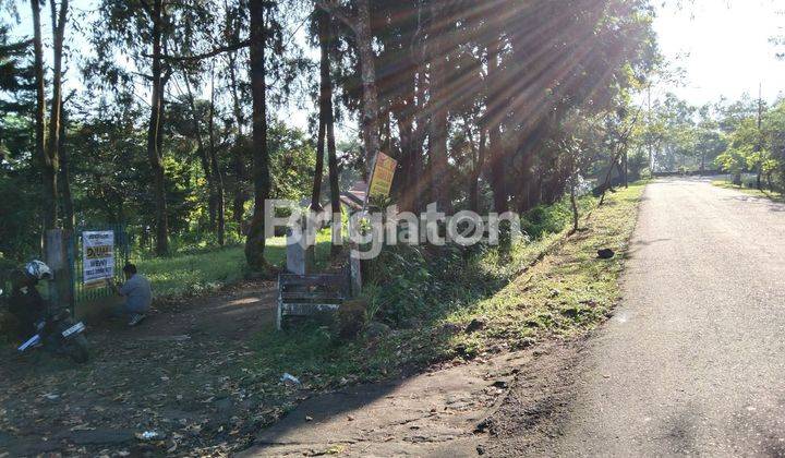 Villa Wisata Kaliurang selangkah Ullen Sentalu Museum, Suraloka Interactive Zoo, Goa Jepang, Lava Tour Merapi 2