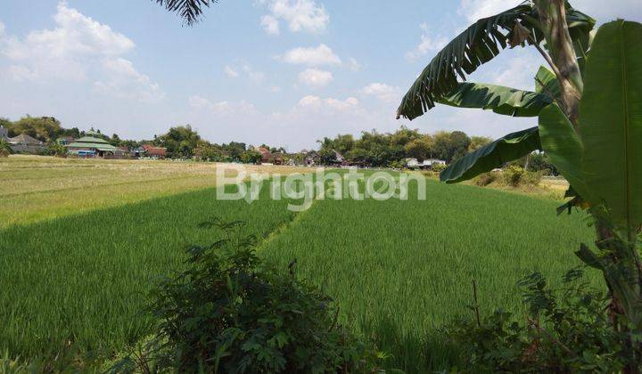 SAWAH KLATEN, LOKASI STRATEGIS, SELANGKAH STASIUN, TERMINAL, RSUD BAGAS WARAS, STIEKES SMK MUHAMADIYAH, PERUMAHAN TAMAN ANGGREK, PASAR SRAGO