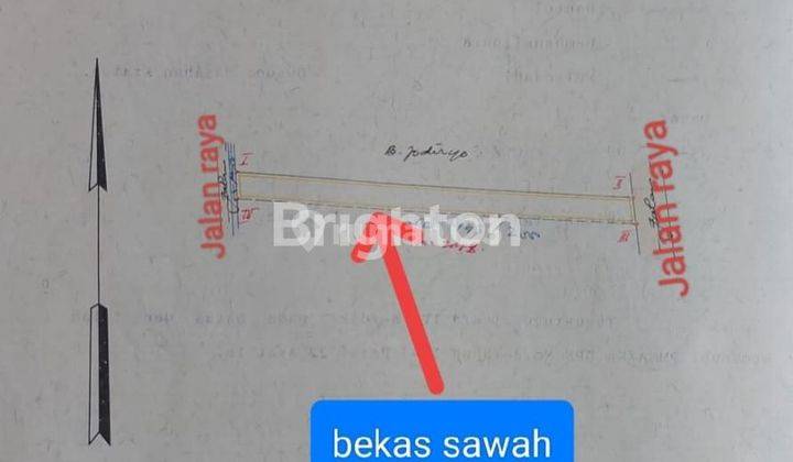 TANAH SIAP BANGUN, PERSIS PINGGIR JALAN ASPAL MULYODADI, BAMBANGLIPURO, BANTUL, DEKAT RS RACHMA HUSADA, SPBU PATALAN 2