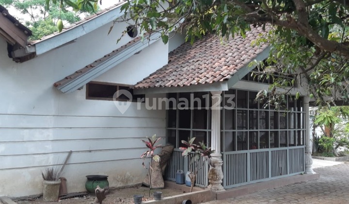 Jual Tanah Bonus Rumah, Kebun & Kandang Sapi Jual Tanah Bonus Rumah, Kebun & Kandang Sapi