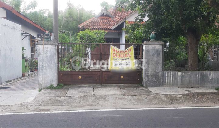 RUMAH DENGAN LUAS 500m² 1
