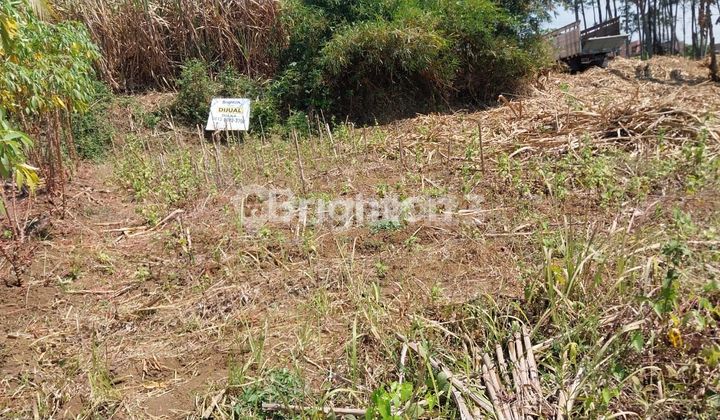 TANAH KAVLING SIAP BANGUN