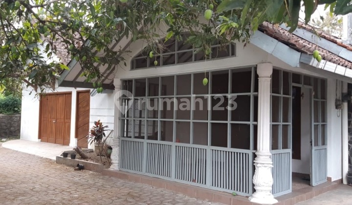 Selling Land with Bonus House, Garden & Cow Shed 2