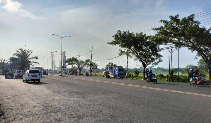 Tanah Raya Burneh Bangkalan Komersial Area. Lokasi Strategis Selangkah Ke By Pas Suramadu. Bangkalan Madura.  2