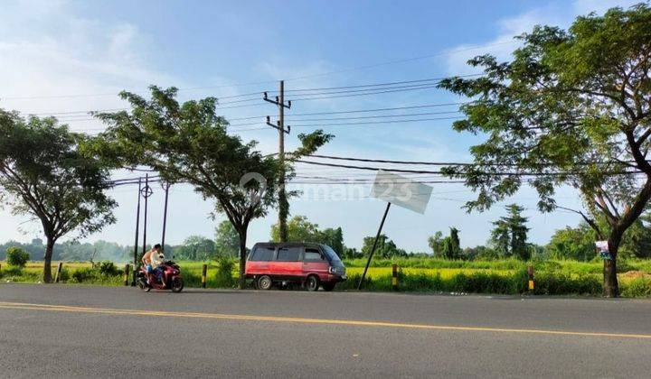 Tanah Raya Burneh Bangkalan Komersial Area. Lokasi Strategis Selangkah Ke By Pas Suramadu. Bangkalan Madura.  1