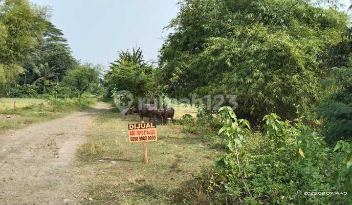 Dijual Tanah 10 Ha di Legok Tangerang