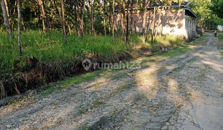 Turun Harga 250jt Tanah Pekarangan Tawangsari Sukoharjo Lt 1438 Ld -+30 Mtr 1