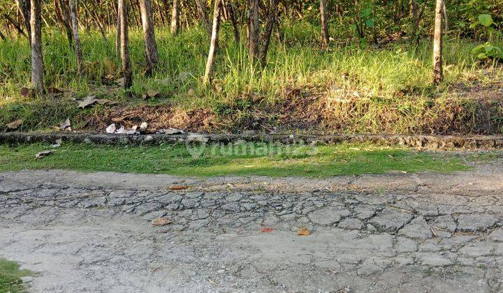 Turun Harga 250jt Tanah Pekarangan Tawangsari Sukoharjo Lt 1438 Ld -+30 Mtr 2