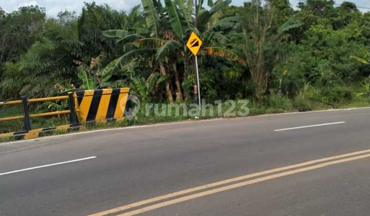 Lot Land for Sale in East Kalimantan IKN Lot Land for Sale in East Kalimantan IKN