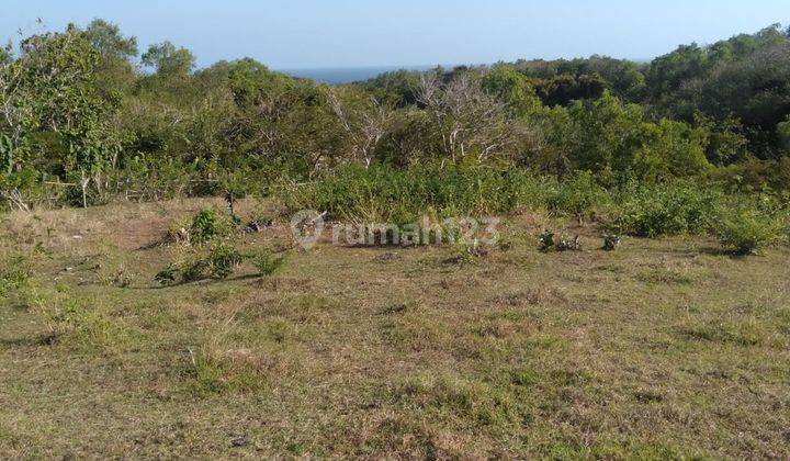 Tanah Ocean View Dekat Ke Pantai Surfing Padangpadang Pecatu