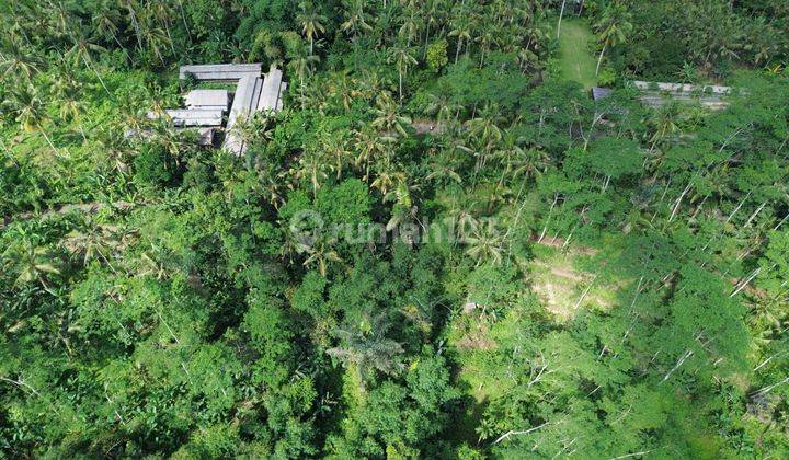 Jungle View Unblock Land Pupuan Tegalalang Ubud 2