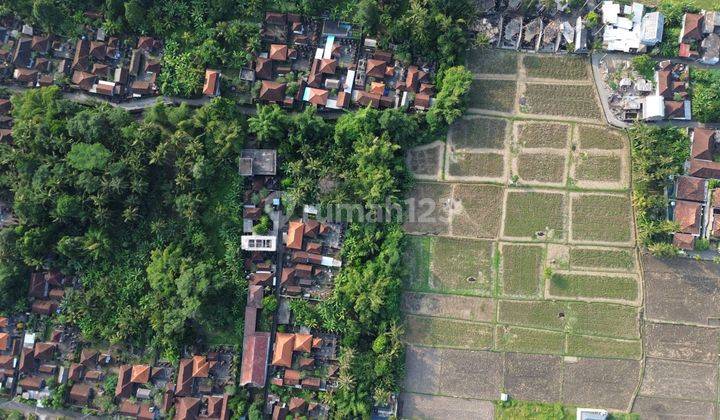 Ricefield View Unblock Land Mawang Lodtunduh Ubud 2