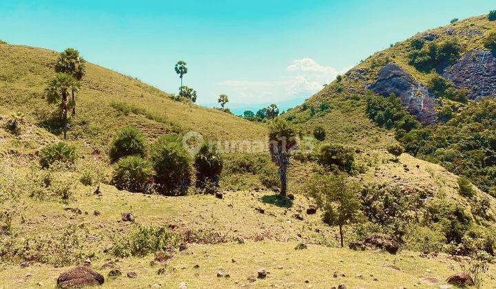 Land With Ocean View In Labuan Bajo  2