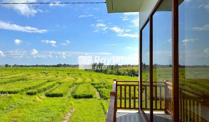 Newly Modern Villa For Rent Close To The Beach  1