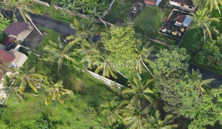 Di Jual Tanah Besar di Gianyar Cocok Untuk Develop Villa  2