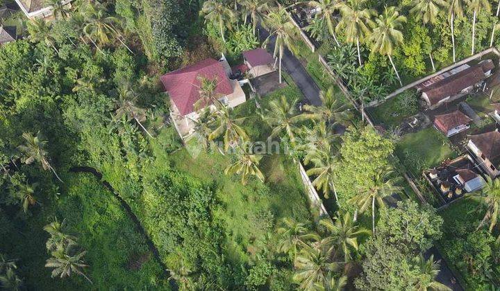 Di Jual Tanah Besar di Gianyar Cocok Untuk Develop Villa  1