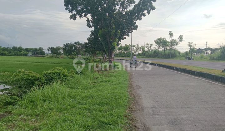 Tanah Jalan Raya Arteri Porong 2