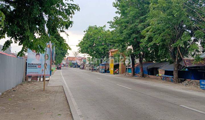 Rumah Baru Di Jl. Raya Krembung, Sidoarjo 2