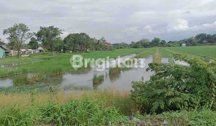 Tanah jalan raya arteri Porong 1