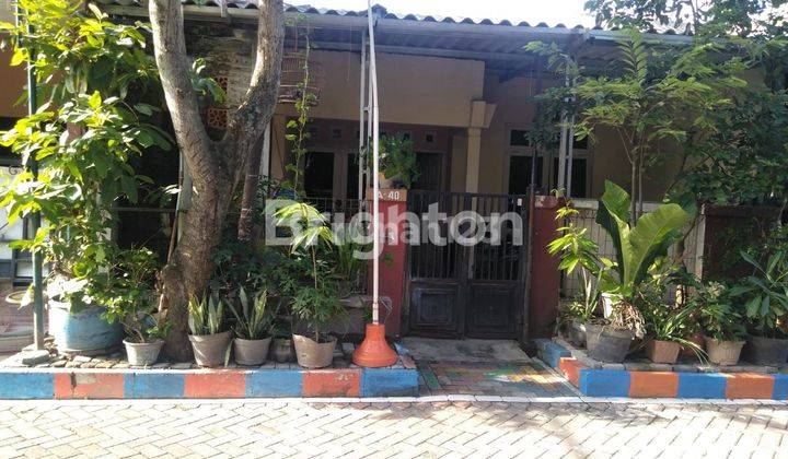 RUMAH PLAMONGAN INDAH SEMARANG  1