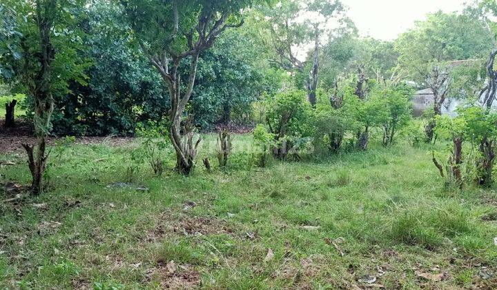 Land for rent in Pecatu Quiet Area on Jalan Uluwatu 2500m² SHM 2