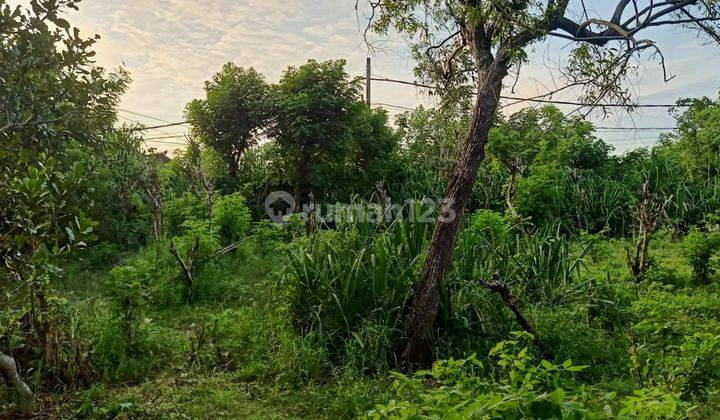 Tanah Disewa area Pecatu Quiet Area di Jalan Uluwatu 2500m² SHM 6