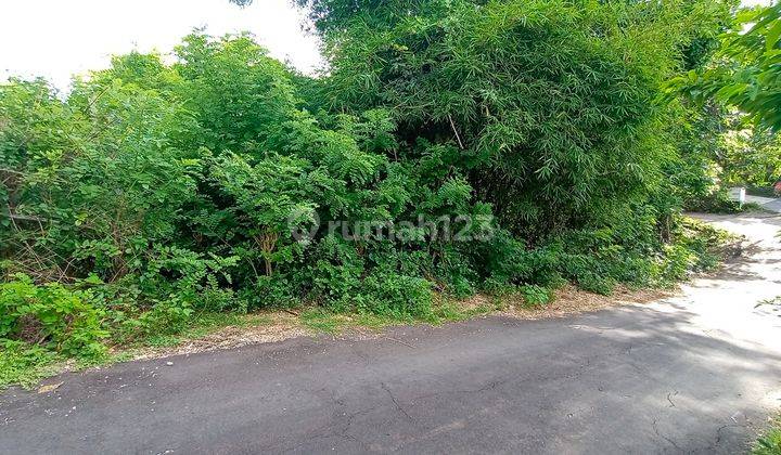 Strategic rental land 40 acres near the beach (PD)  2