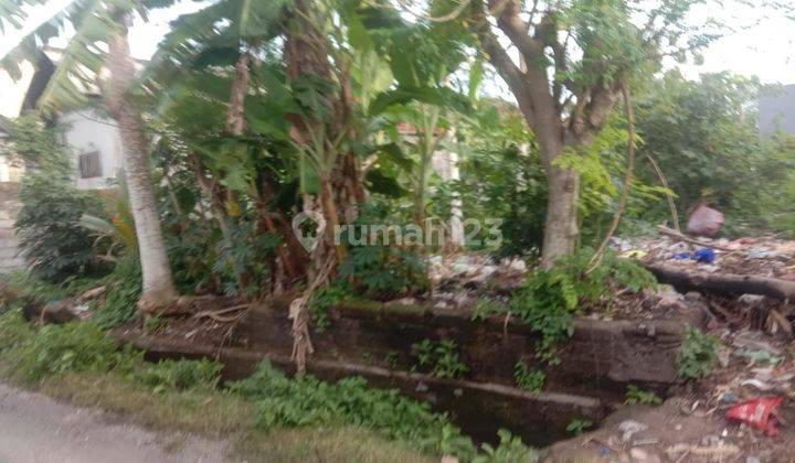 Land for rent in Ungasan Residential area (PD)  1